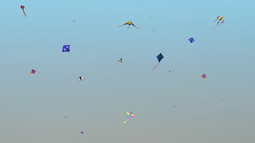 Makar Sankranti Celebration in Jaipur – About The Kite Festival Jaipur 2025
