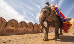 Elephant Ride Amer - JaipurLove