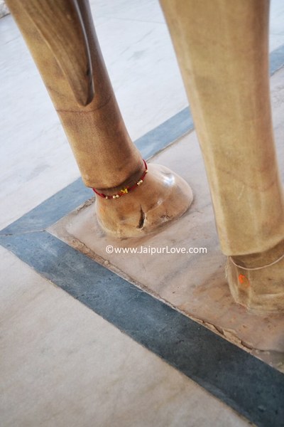 Devdutta Horse, Kalki Temple - JaipurLove