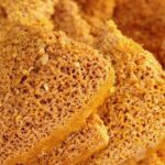 French Classes in Jaipur: Top Institutes, Courses, Fees, and Career Scope