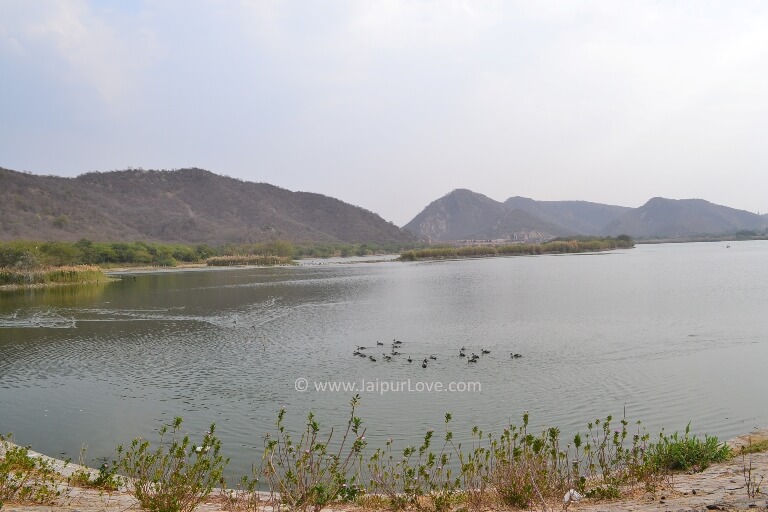 Jalmahal Lake - JaipurLove