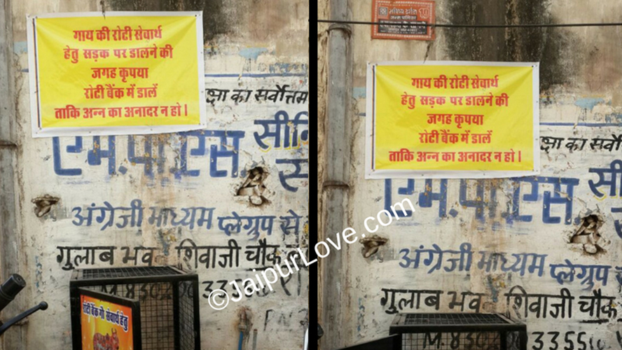 Roti Bank for Cows in Jaipur – unique concept other cities Must learn from