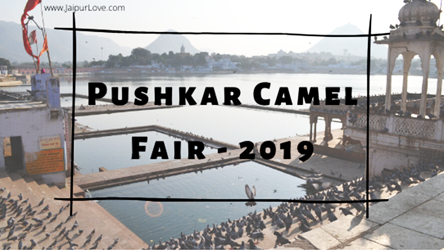 Pushkar Fair 2019: Answering Your Pushkar Camel Fair Questions