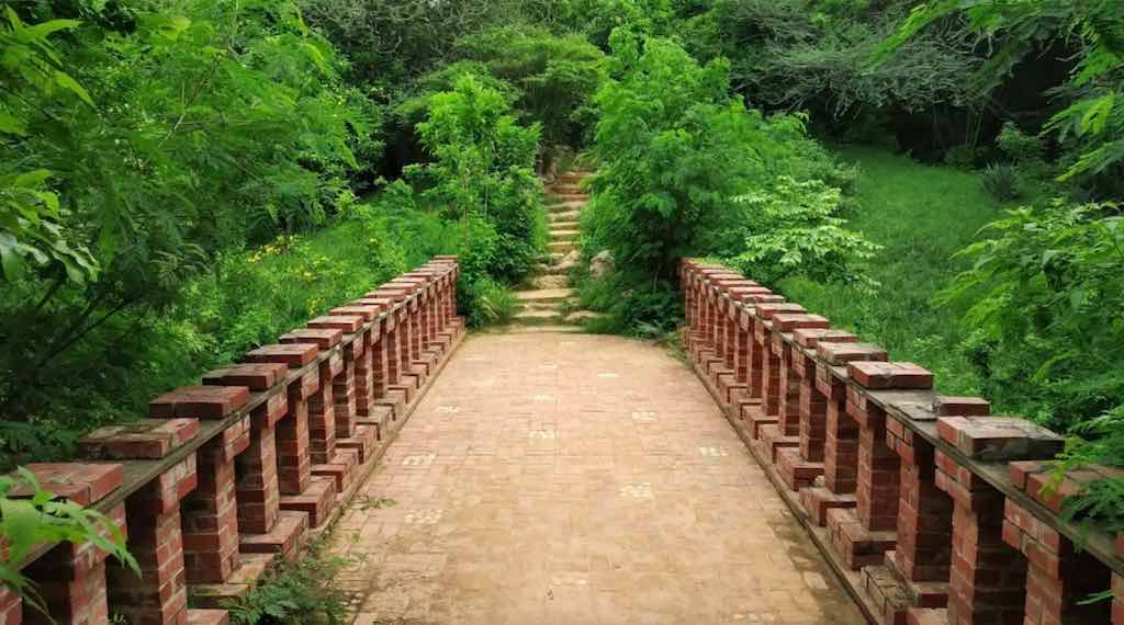Smriti Van Full Info: Guide to Jaipur’s Best Place for Couples
