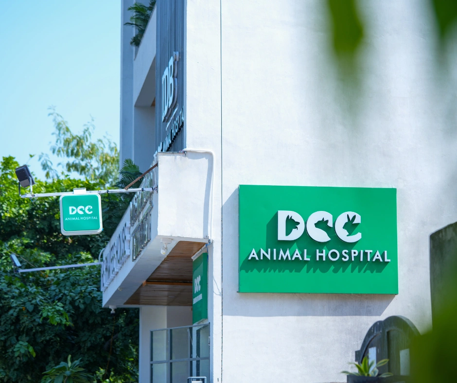 DCC Animal Hospital in Jaipur - fyi9