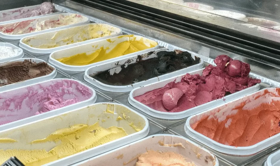 Frozen Fun Gelato Jaipur - JaipurLove